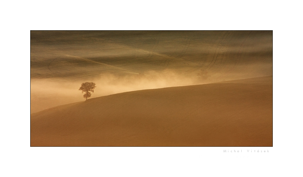 Toscana VII.