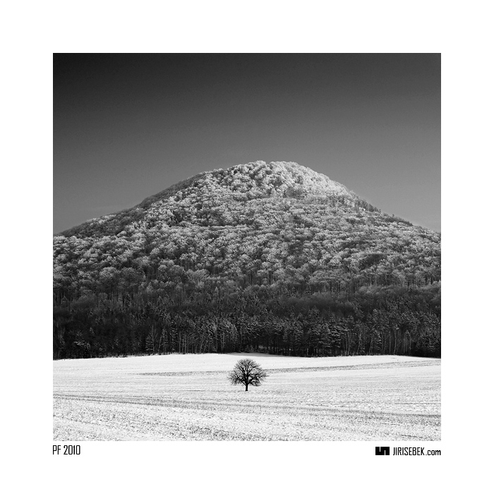 Katan - PF 2010