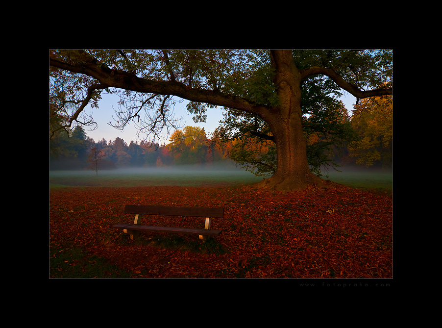Průhonický park