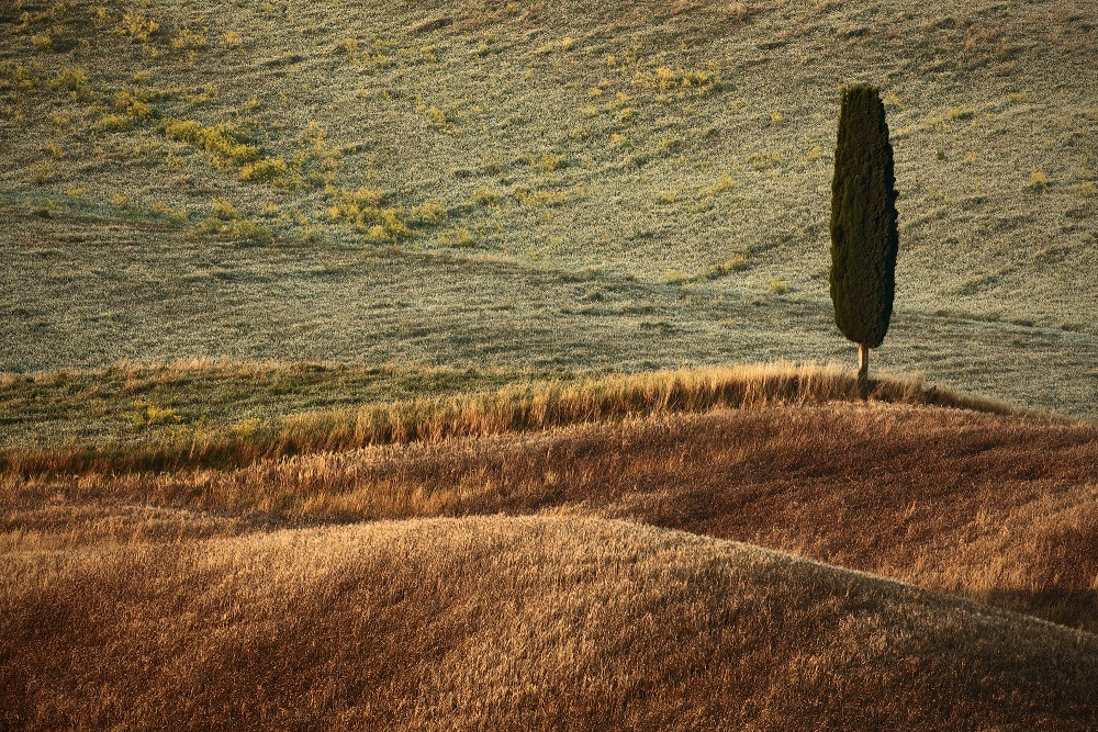 Toskánsko | 8097