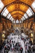 Natural History Museum