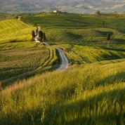 Toscana VI.